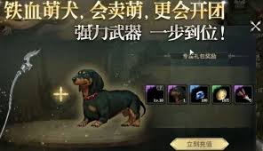 奇迹世界起源有什么宠物