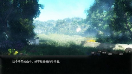 山桂2