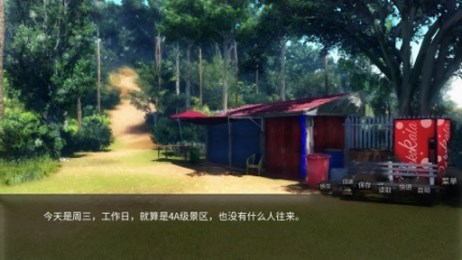 山桂4
