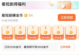 红果10金币问题怎么解决