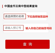 金币云商抽签结果如何查询