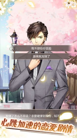 猫咪异闻2