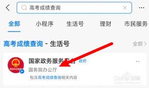 支付宝高考成绩查询密码是啥