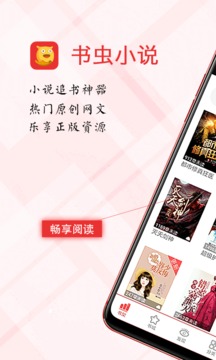 书虫小说电子书1