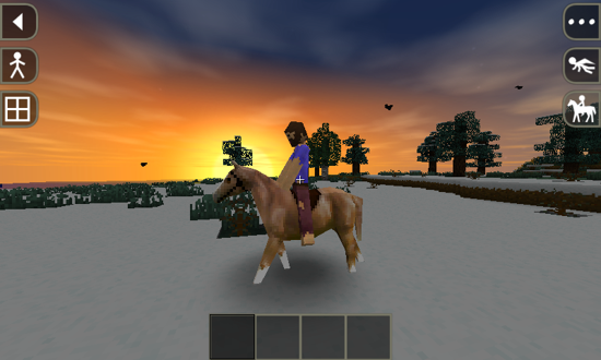 生存战争(Survivalcraft)4