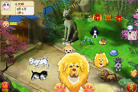 斗犬