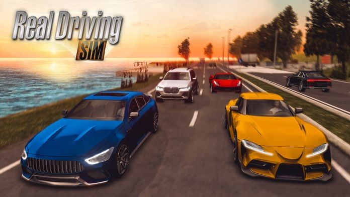 Real Driving Sim1