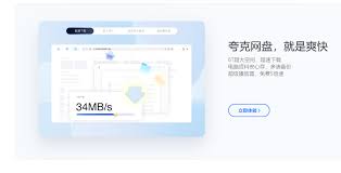 夸克磁力链如何使用