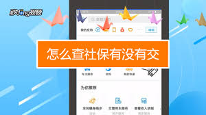 如何查看自己是否缴纳社保