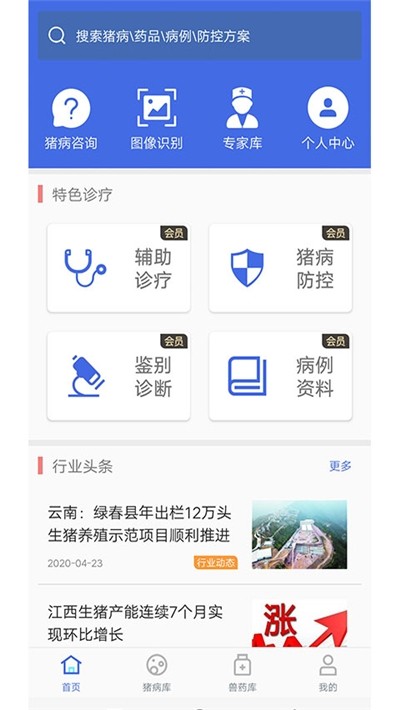 猪安全1