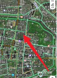 如何通过高德地图看实时街景