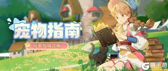 龙骑士学园宠物养成怎么做