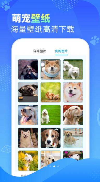 可爱萌宠翻译器4