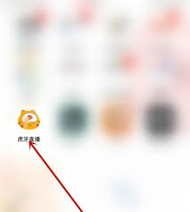 虎牙直播会员如何充值