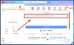 迅雷app磁力链是什么
