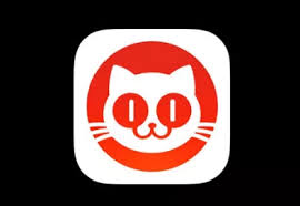 猫眼如何使用支付宝付款