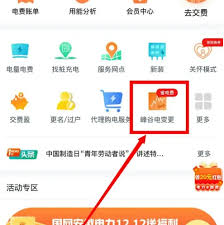 网上国网如何申请晚上半价电费