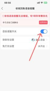 支付宝怎么开启语言播报到账提醒