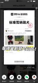 得物如何进行宠物鉴别