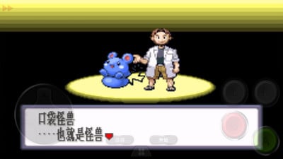 口袋妖怪：红宝石3