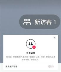 抖音访客开了又关会有记录吗