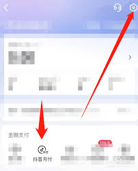 抖音月付还款如何使用微信支付