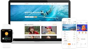 随手记手机版VIP有啥作用