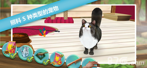 猫舍1