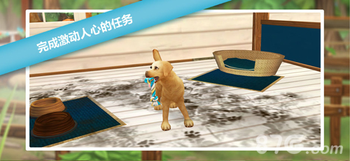 猫舍5