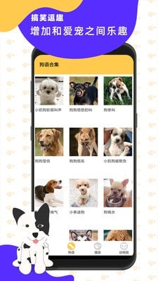 猫狗翻译神器3