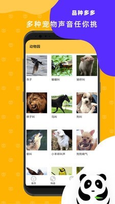 猫狗翻译神器4