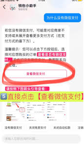抖音微信支付突然消失如何恢复