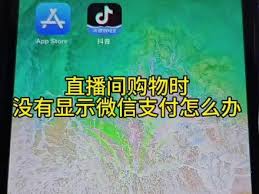 抖音微信支付突然消失如何恢复