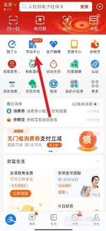 支付宝如何查询社保缴费记录