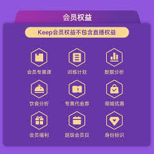 钉钉会员有哪些作用