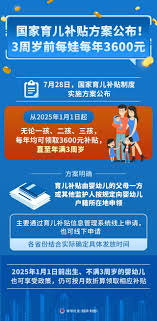 国家育儿补贴系统如何申请