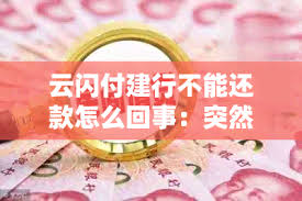 云闪付借款还不上如何解决