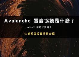 雪崩币是否具有投资价值