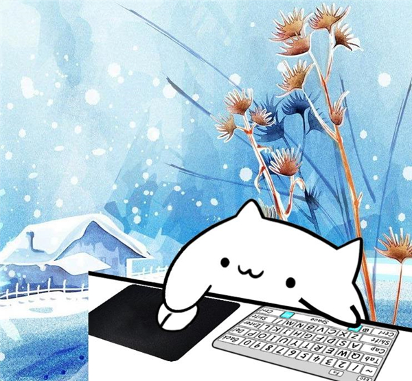 BongoCat