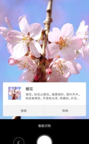 智能识物3