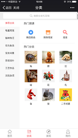 拍宠1