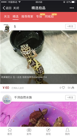 拍宠2