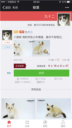 拍宠3