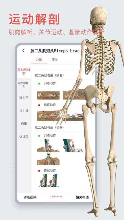 3d人体模型3