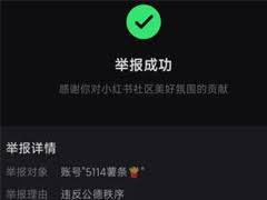 小红书举报别人别人能看见我举报吗