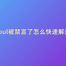 soul被禁言了如何快速解封