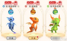 龙骑士学园坐骑与时装怎么介绍