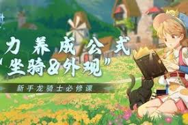 龙骑士学园坐骑与时装怎么介绍