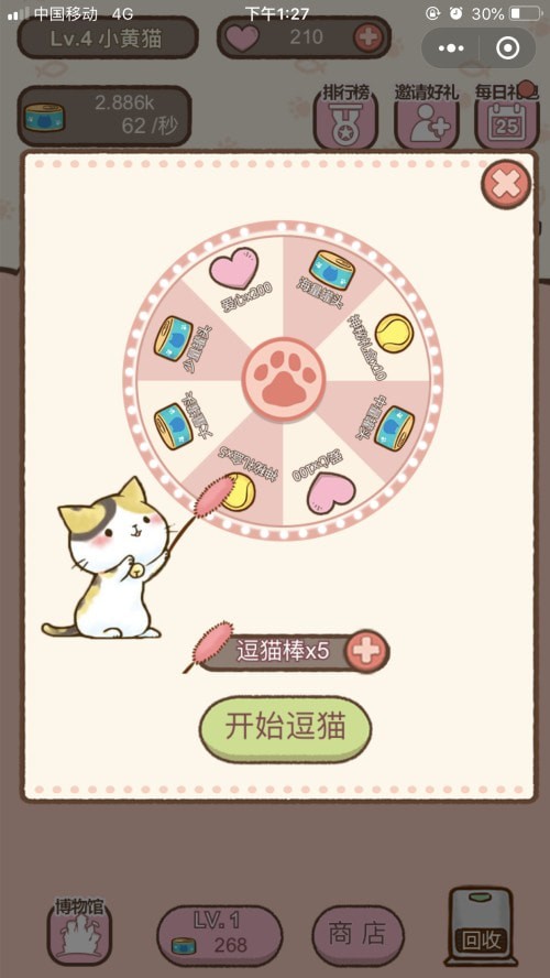 我要猫咪1