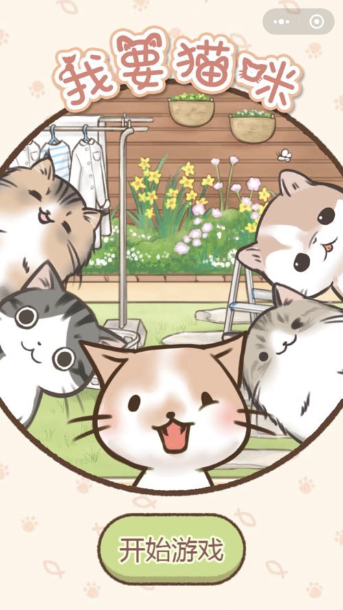 我要猫咪3